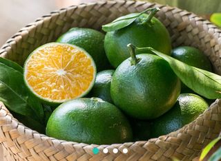 새달귤농장님의 팜모닝 · 출석 작성글 사진