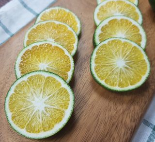 새달귤농장님의 팜모닝 · 출석 작성글 사진