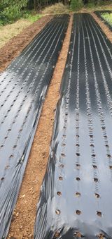 팜모닝 11월 농사 계획 공유하기·참여글 게시글 이미지