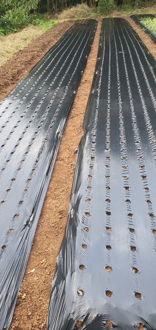 류창열 님의 11월 농사 계획 공유하기 · 참여글 작성글 사진