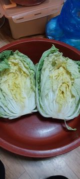 팜모닝 자유주제·자유게시판 게시글 이미지