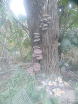 팜모닝 자유주제·사진전 게시글 이미지