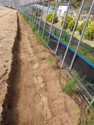 시골살이님의 자유주제 · 자유게시판 작성글 사진