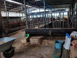 알 수 없음님의 자유주제 · 자유게시판 작성글 사진