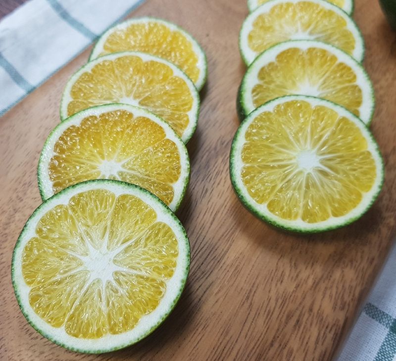 선물차롱님의 장터 판매 상품 [제주도 풋귤(청귤)판매합니다. 싱싱하고 당일 따서 배송] 첨부 사진