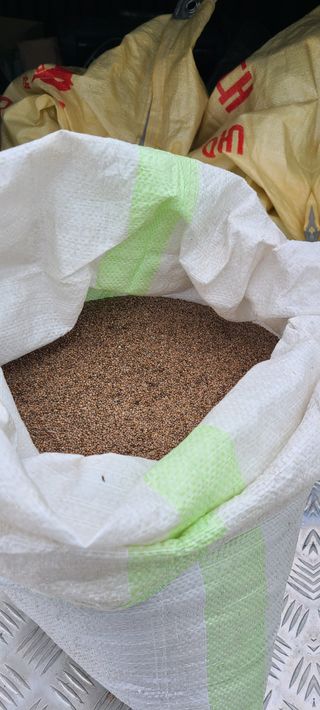 조성옥님의 자유주제 · 자유게시판 작성글 사진