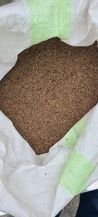 조성옥님의 자유주제 · 자유게시판 작성글 사진