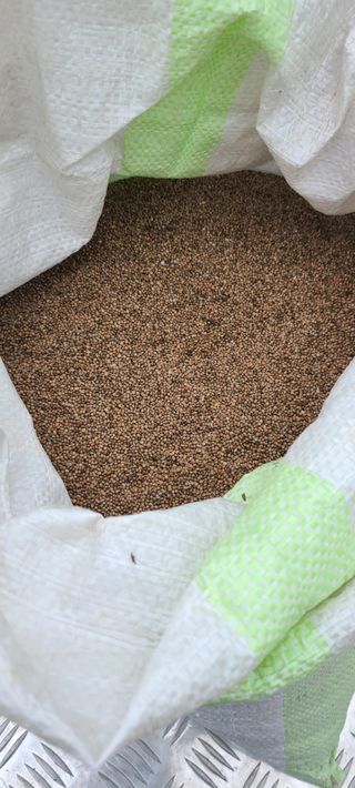 조성옥님의 자유주제 · 자유게시판 작성글 사진