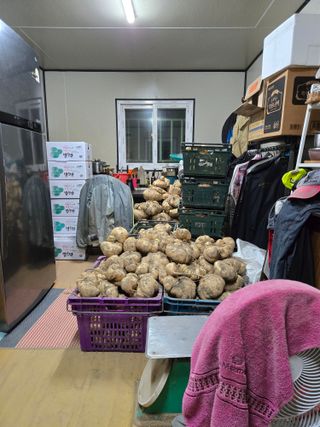 김성부 님의 자유주제 · 자유게시판 작성글 사진