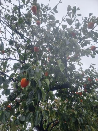 정영기대산축산농부♡님의 자유주제 · 자유게시판 작성글 사진