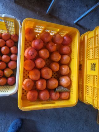 정영기대산축산농부♡님의 자유주제 · 자유게시판 작성글 사진