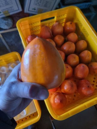 정영기대산축산농부♡님의 자유주제 · 자유게시판 작성글 사진