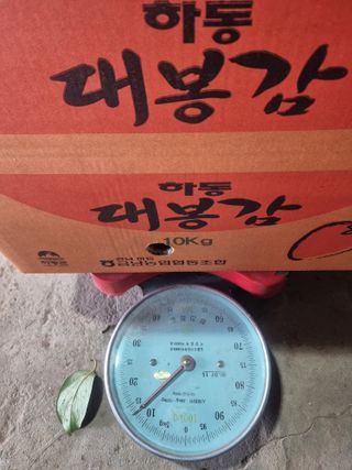 정영기대산축산농부♡님의 자유주제 · 자유게시판 작성글 사진