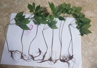 상도님의 자유주제 · 자유게시판 작성글 사진