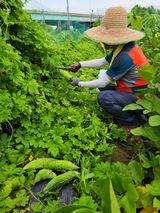 팜모닝 자유주제·자유게시판 게시글 이미지