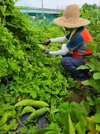 양기수님의 자유주제 · 자유게시판 작성글 사진