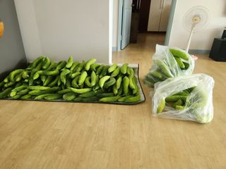 양기수님의 자유주제 · 자유게시판 작성글 사진