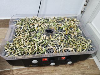 양기수님의 자유주제 · 자유게시판 작성글 사진