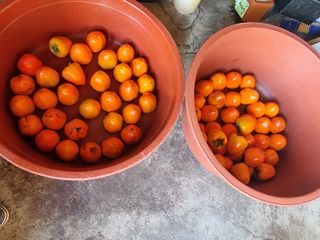 정석범님의 자유주제 · 자유게시판 작성글 사진