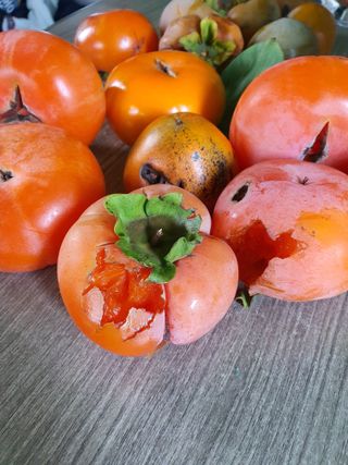 채경식님의 작성글 사진