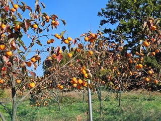 배영순님의 자유주제 · 자유게시판 작성글 사진
