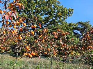 배영순님의 자유주제 · 자유게시판 작성글 사진