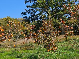 배영순님의 자유주제 · 자유게시판 작성글 사진