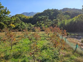 배영순님의 자유주제 · 자유게시판 작성글 사진