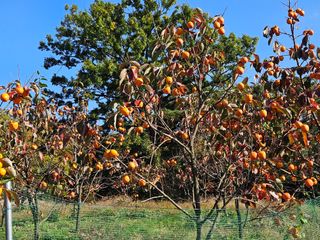 배영순님의 자유주제 · 자유게시판 작성글 사진