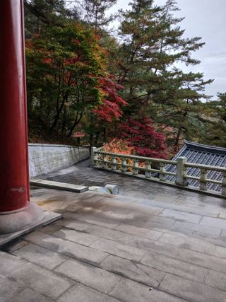 김경란 님의 자유주제 · 자유게시판 작성글 사진