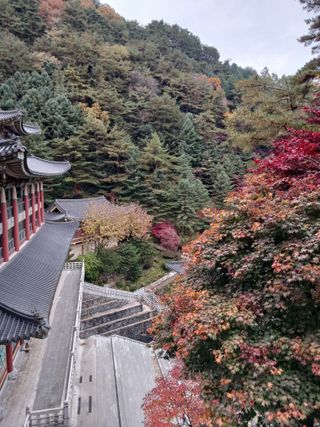 김경란 님의 자유주제 · 자유게시판 작성글 사진