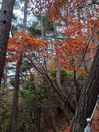 김경란 님의 자유주제 · 자유게시판 작성글 사진