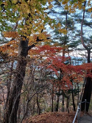 김경란 님의 자유주제 · 자유게시판 작성글 사진