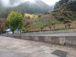 김경란 님의 자유주제 · 자유게시판 작성글 사진