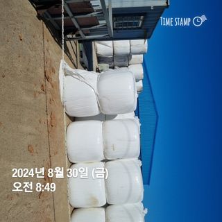 민들레님의 자유주제 · 자유게시판 작성글 사진