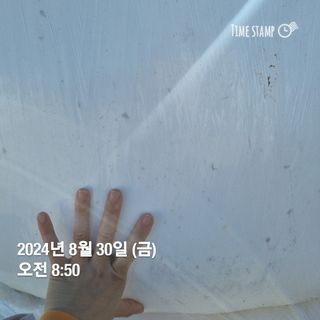 민들레님의 자유주제 · 자유게시판 작성글 사진