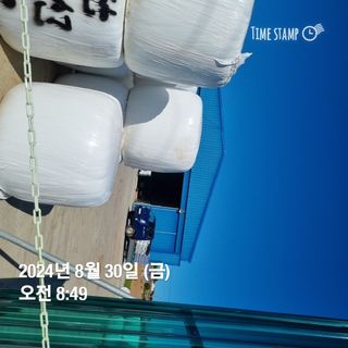 민들레님의 자유주제 · 자유게시판 작성글 사진