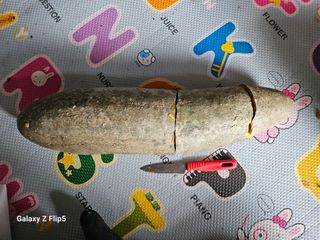 황석중님의 자유주제 · 자유게시판 작성글 사진