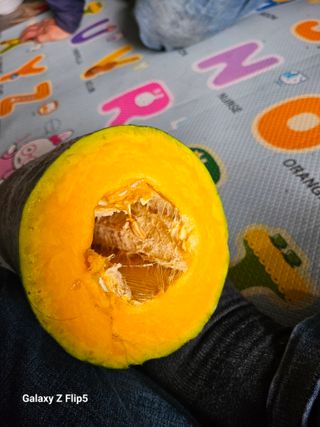 황석중님의 자유주제 · 자유게시판 작성글 사진