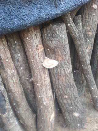 최가박당농부님의 자유주제 · 자유게시판 작성글 사진