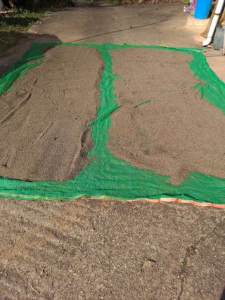 독골농원님의 자유주제 · 자유게시판 작성글 사진