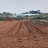 팜모닝 자유주제·자유게시판 게시글 이미지