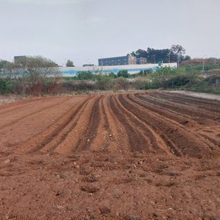 kh글로벌님의 자유주제 · 자유게시판 작성글 사진