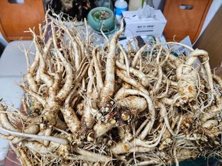 장송녀약초사랑농삿꾼님의 기타작물 · 영농일지 작성글 사진