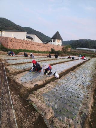 박정석님의 11월 농사 계획 공유하기 · 참여글 작성글 사진