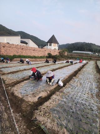 박정석님의 11월 농사 계획 공유하기 · 참여글 작성글 사진