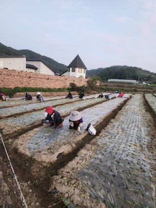 박정석님의 11월 농사 계획 공유하기 · 참여글 작성글 사진