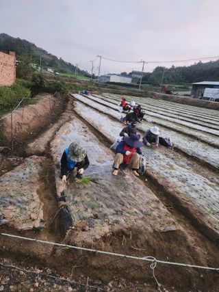 박정석님의 11월 농사 계획 공유하기 · 참여글 작성글 사진