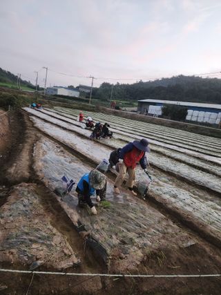 박정석님의 11월 농사 계획 공유하기 · 참여글 작성글 사진