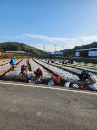 박정석님의 11월 농사 계획 공유하기 · 참여글 작성글 사진